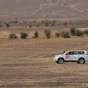 12141725_1078863545470753_2521821880874587763_n