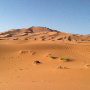 12189906_487453934788296_2320907902919702944_n