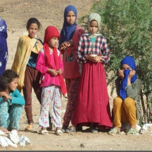 12246631_403179713208589_4789079125707006824_n