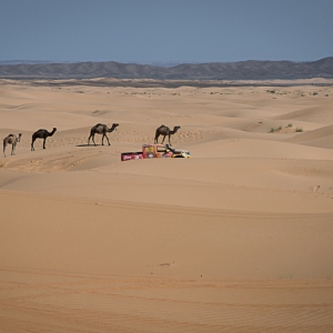 21839366910_392211aca6_b